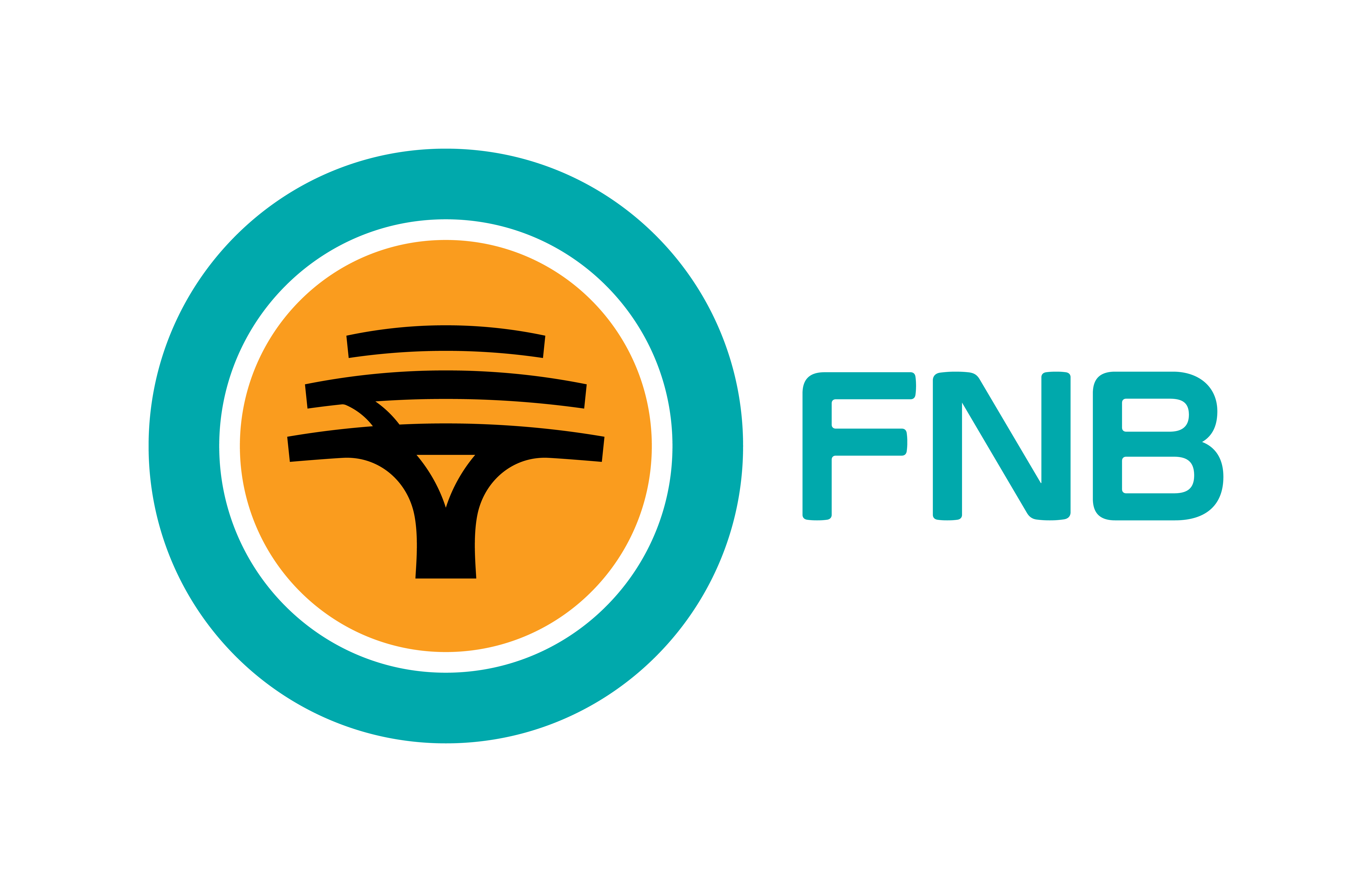 FNB Logo